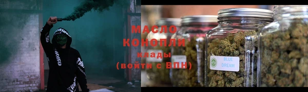 гидра Абаза