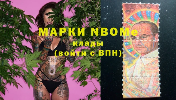гидра Абаза