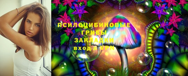 гидра Абаза