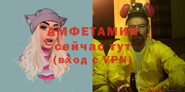 гидра Абаза
