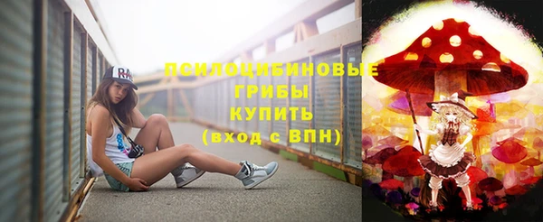 гидра Абаза